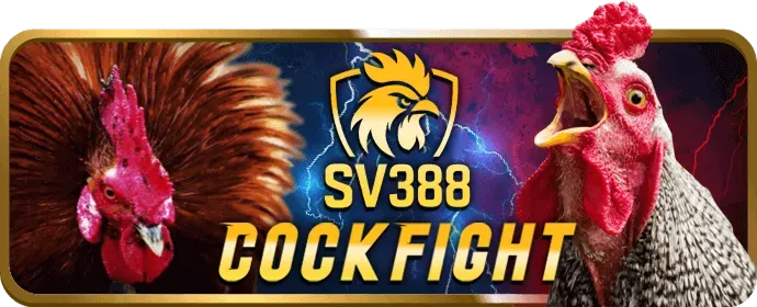 Lợi ích của sanclub code